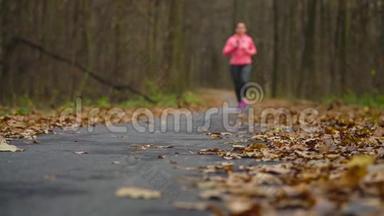 日落时分，<strong>一群</strong>戴着耳机和智能手机的女人在秋天的森林里<strong>奔跑</strong>。 慢动作